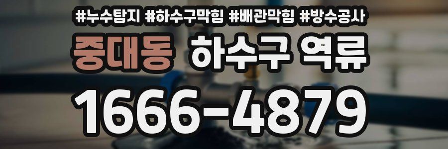 중대동 하수구 역류