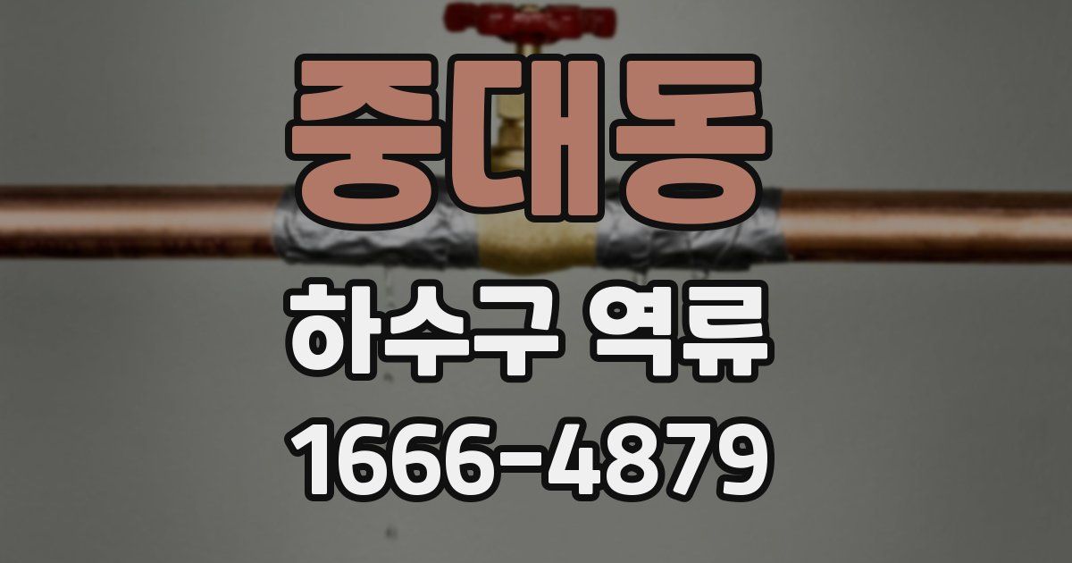 중대동 하수구 역류