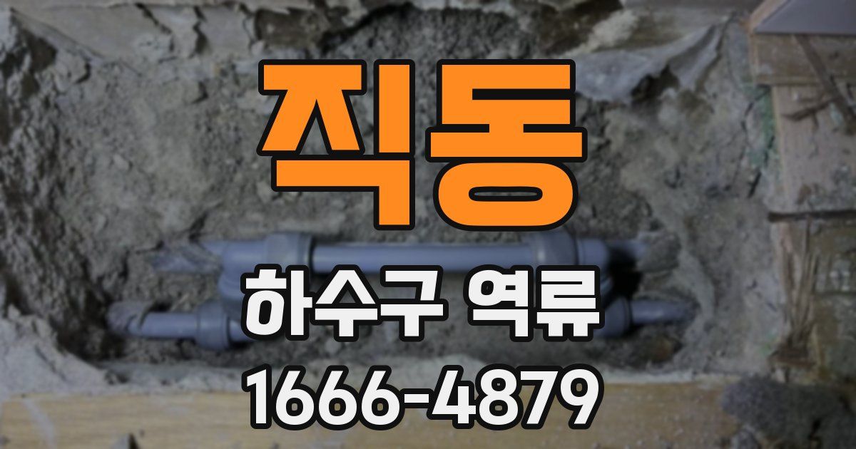 직동 하수구 역류