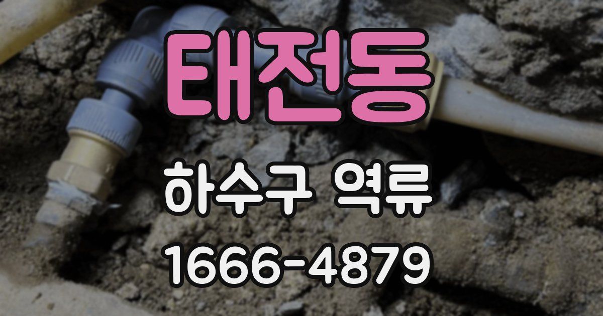 태전동 하수구 역류
