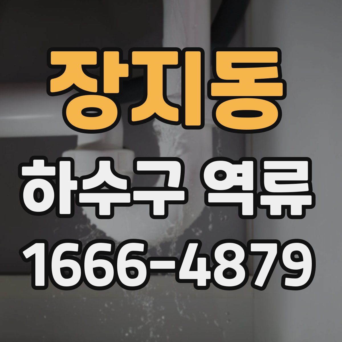 장지동 하수구 역류