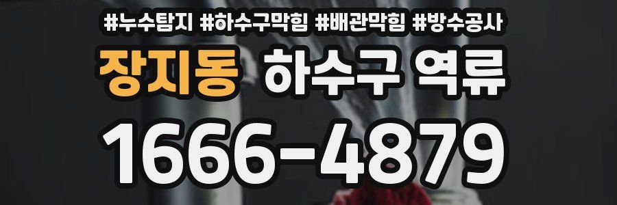 장지동 하수구 역류