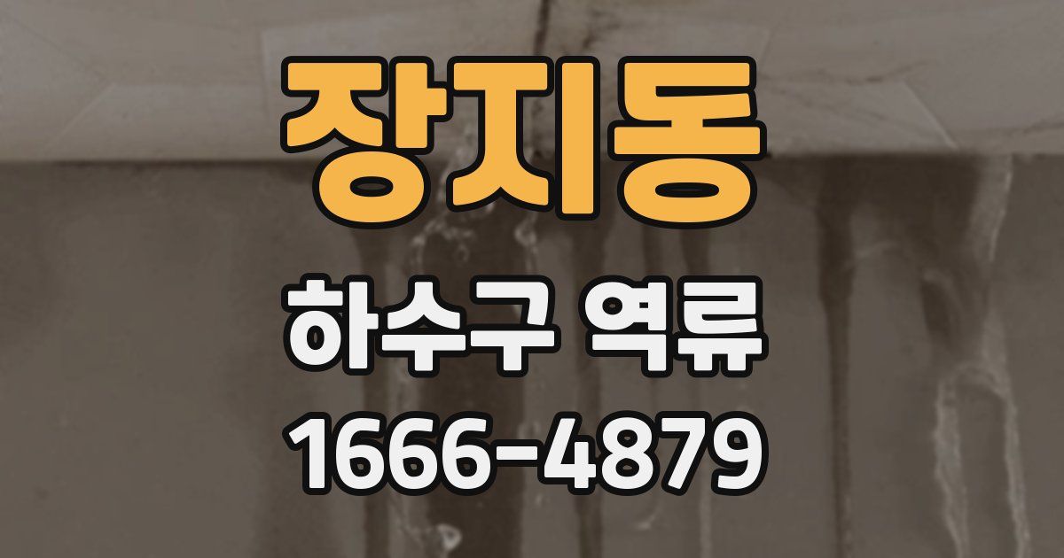 장지동 하수구 역류