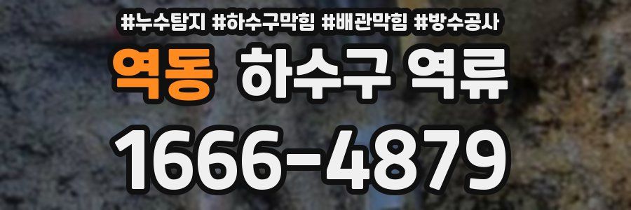 역동 하수구 역류