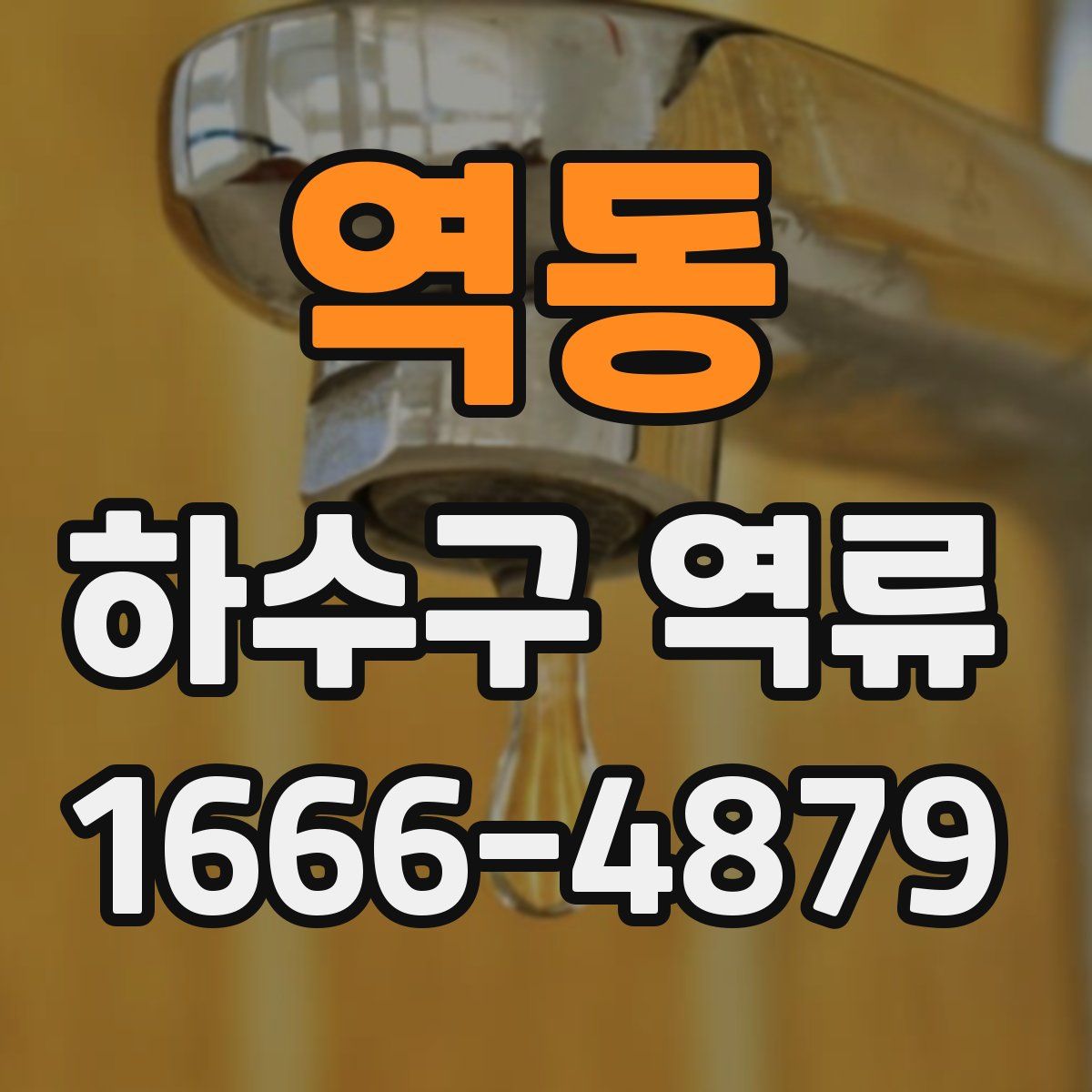역동 하수구 역류