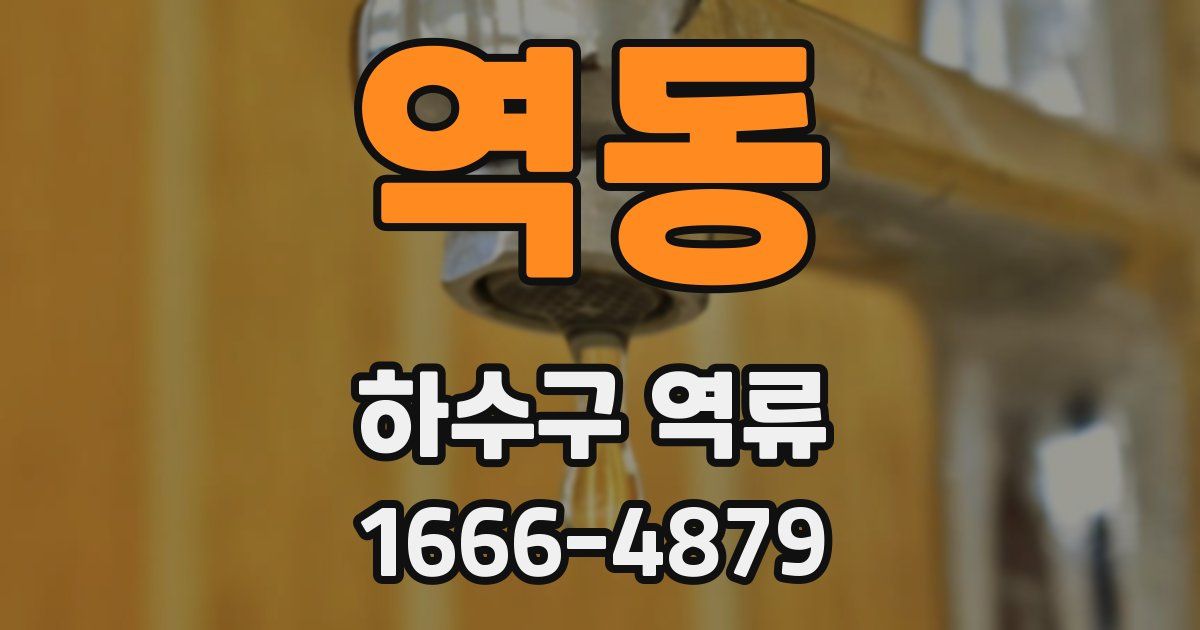 역동 하수구 역류