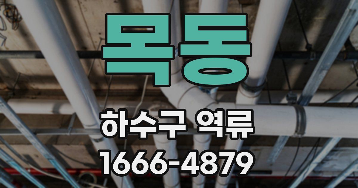 목동 하수구 역류