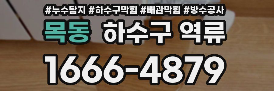 목동 하수구 역류
