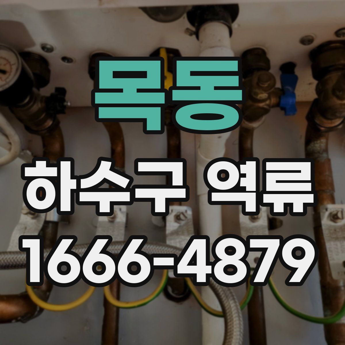목동 하수구 역류