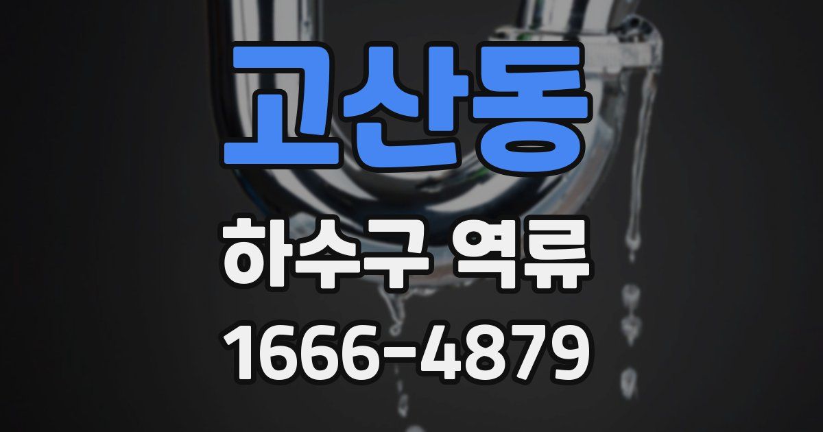 고산동 하수구 역류