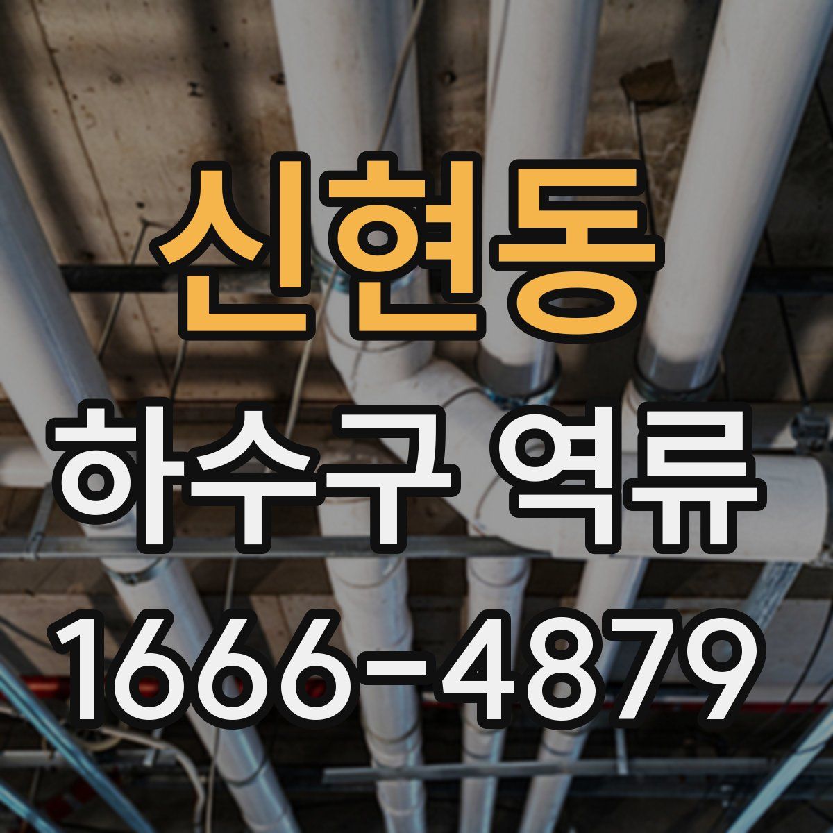 신현동 하수구 역류