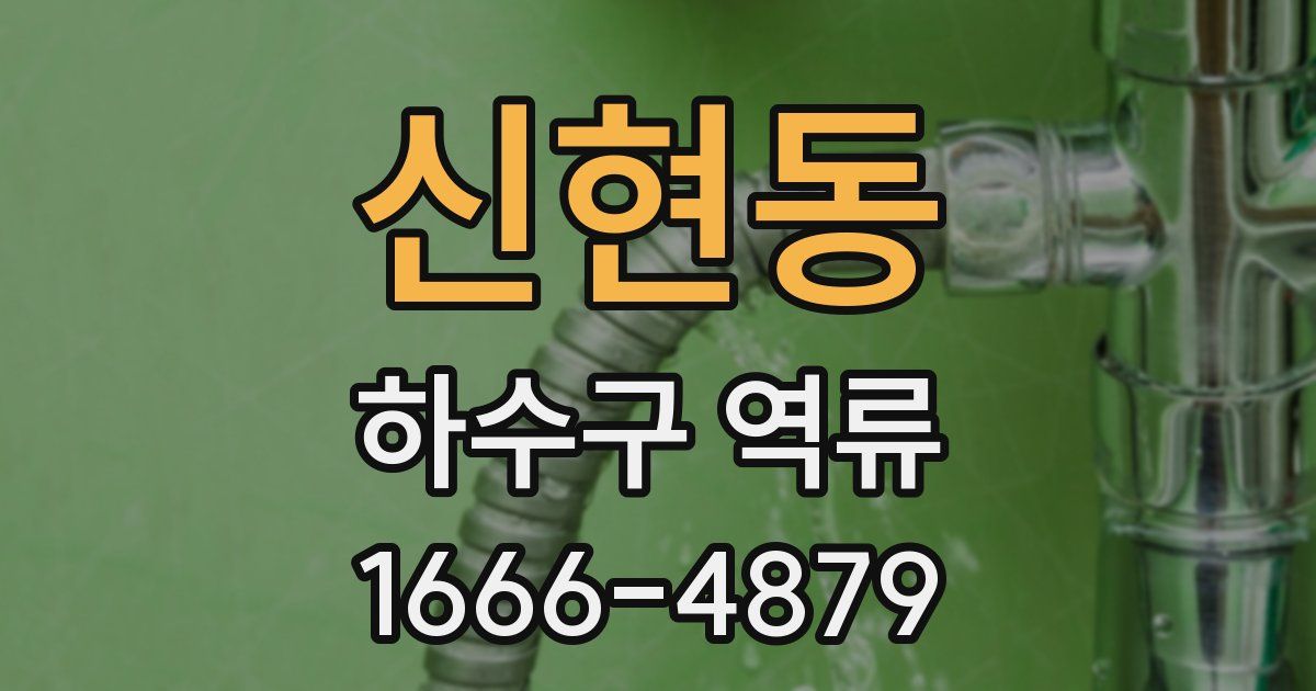 신현동 하수구 역류