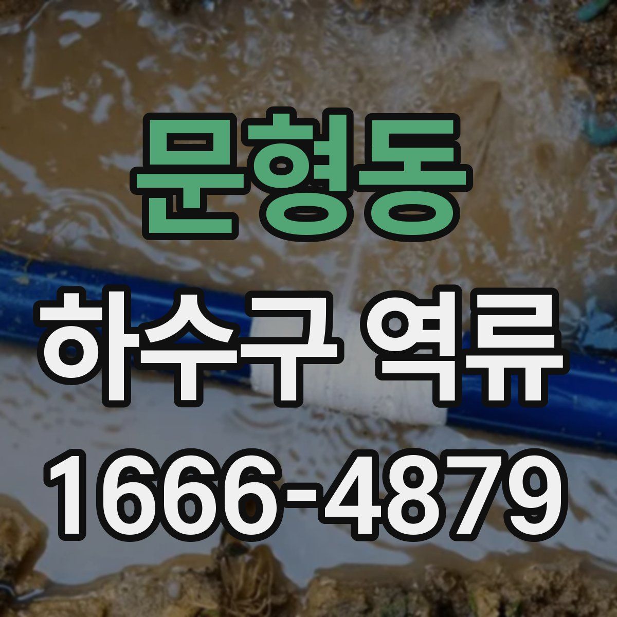 문형동 하수구 역류