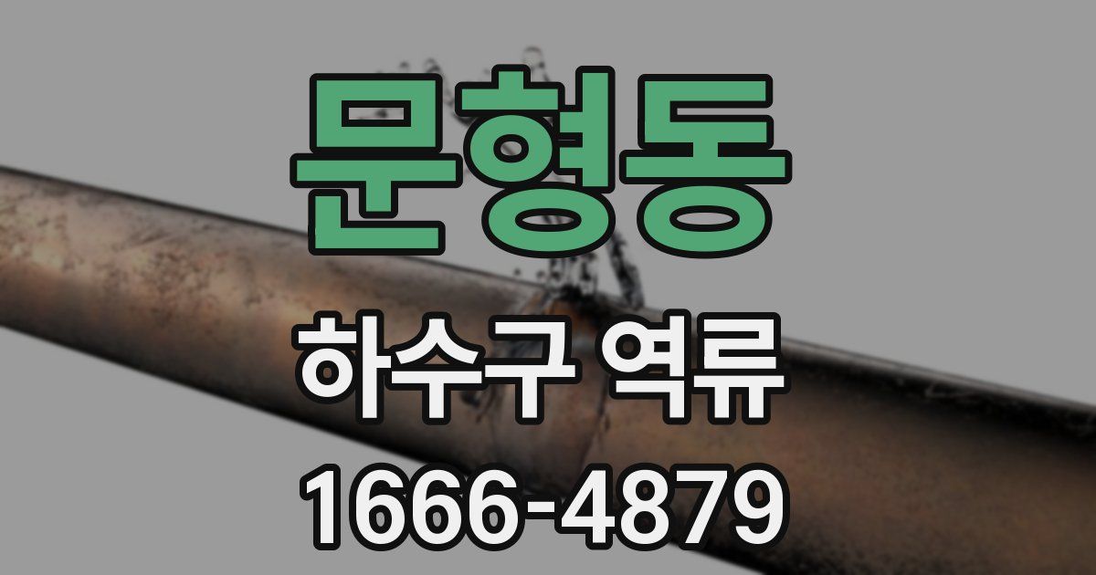 문형동 하수구 역류
