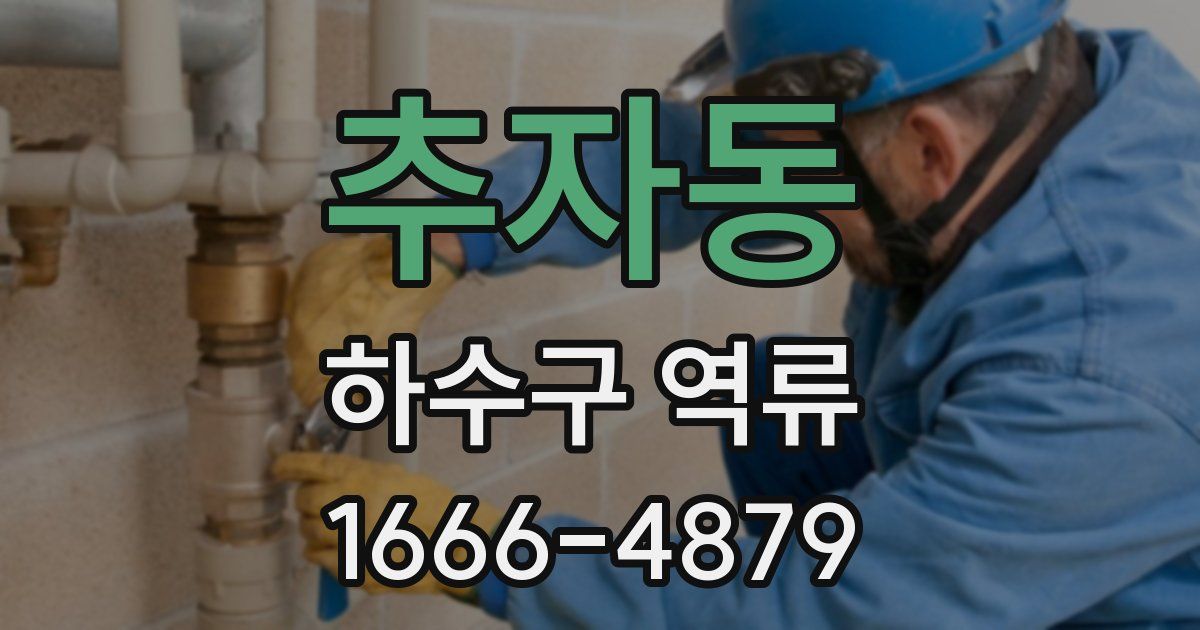추자동 하수구 역류