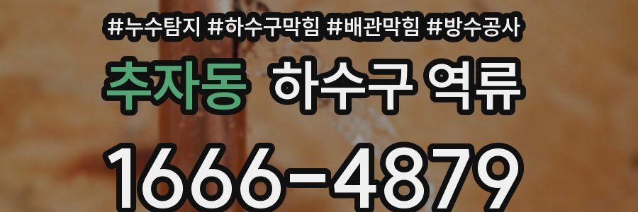 추자동 하수구 역류