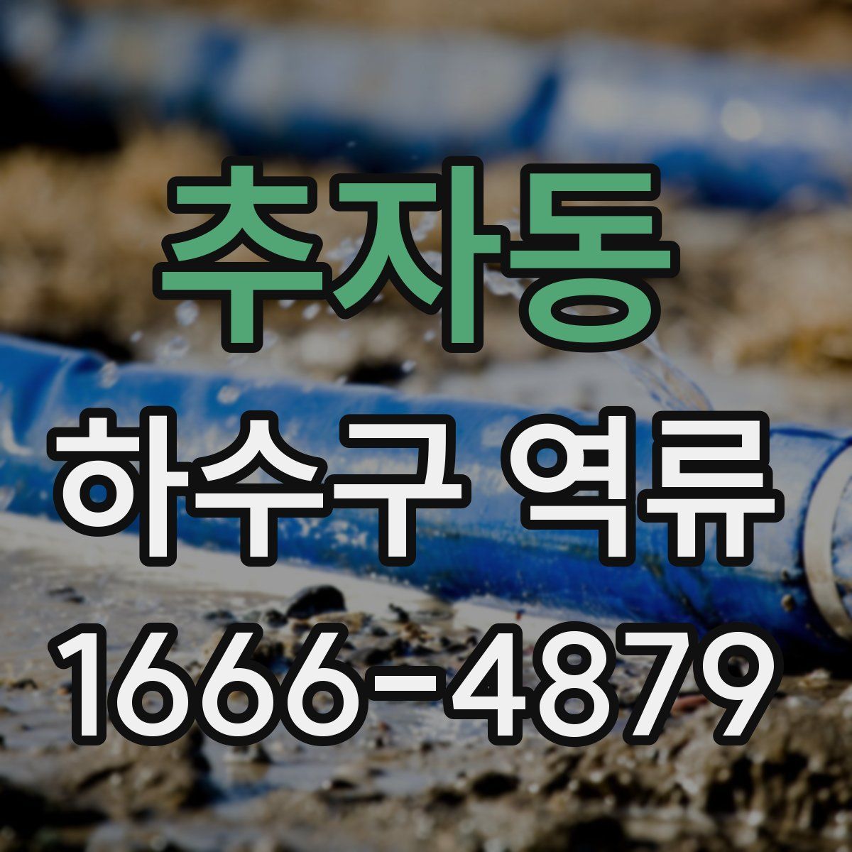 추자동 하수구 역류
