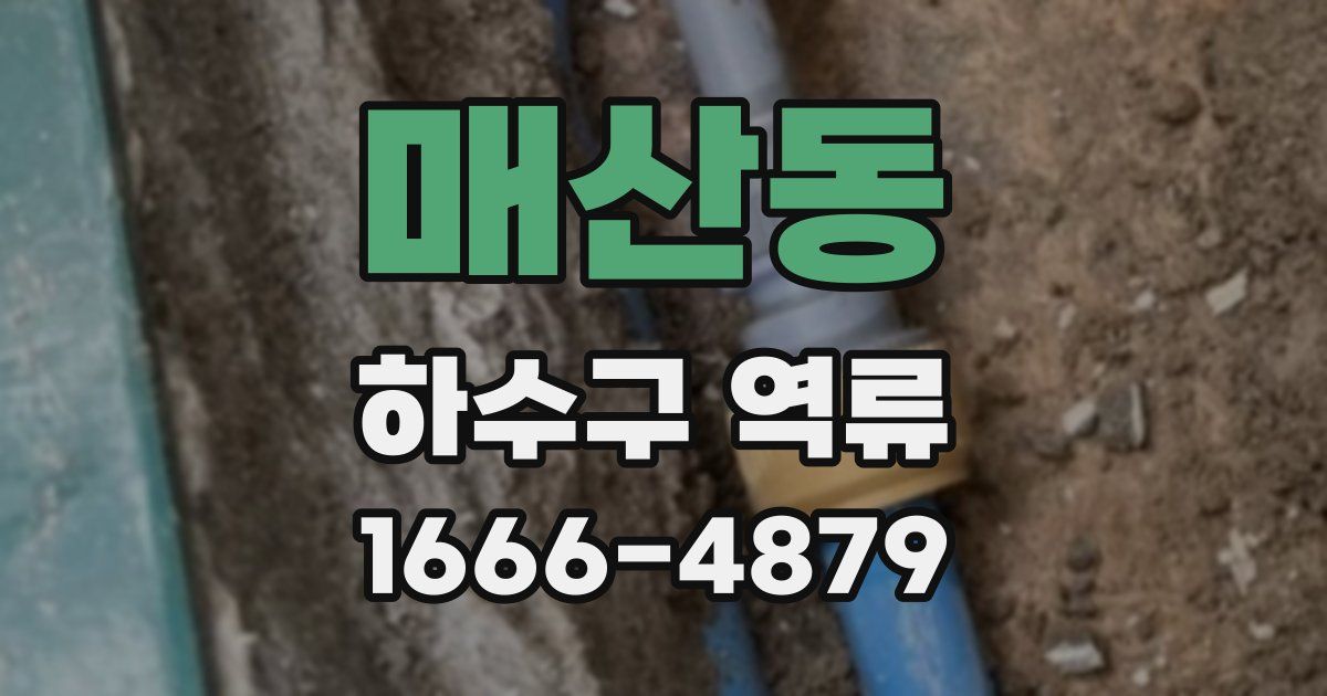 매산동 하수구 역류