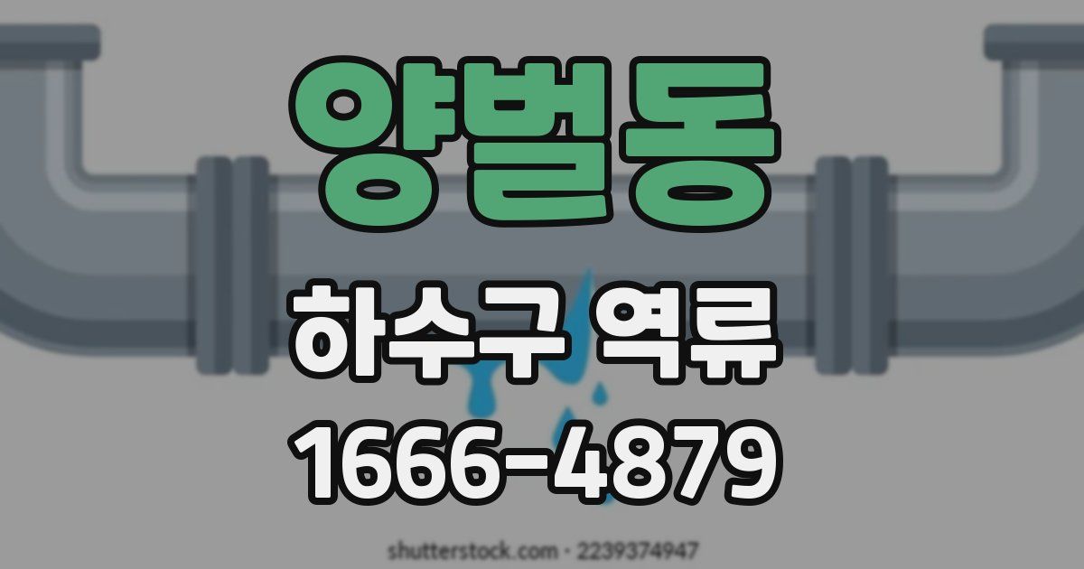 양벌동 하수구 역류