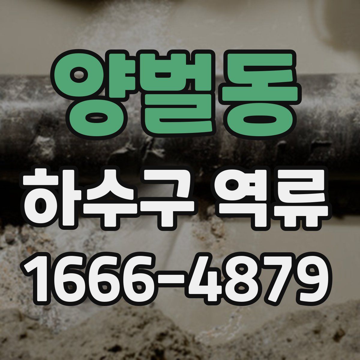 양벌동 하수구 역류