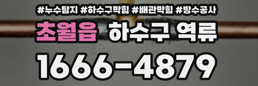 초월읍 하수구 역류