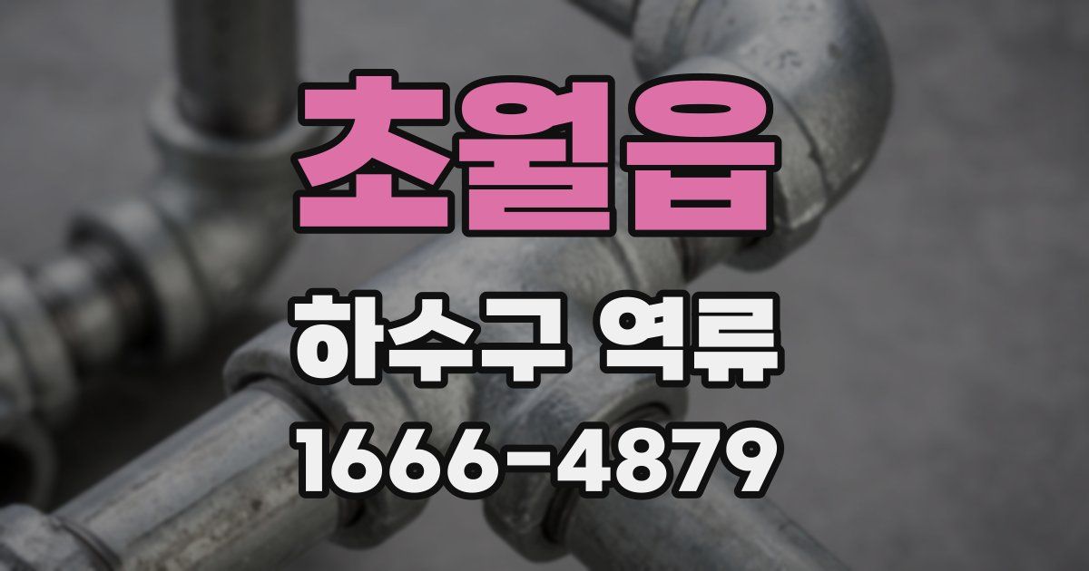 초월읍 하수구 역류
