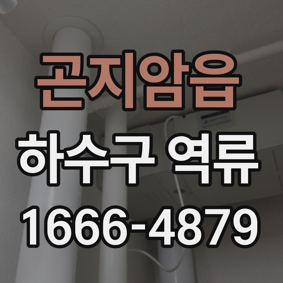 곤지암읍 하수구 역류