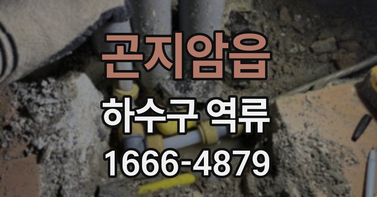 곤지암읍 하수구 역류