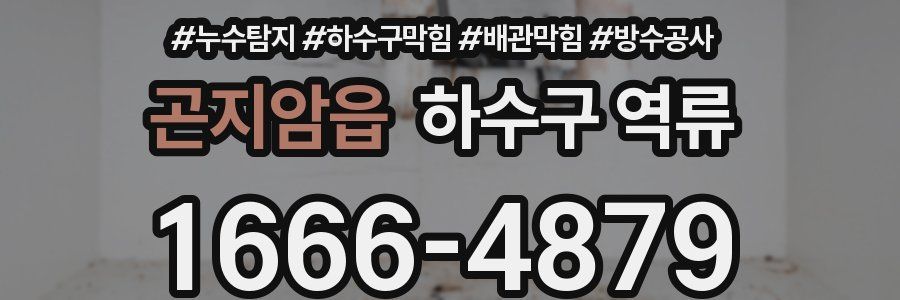 곤지암읍 하수구 역류