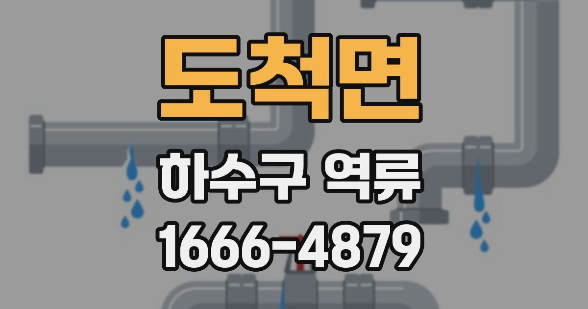 도척면 하수구 역류