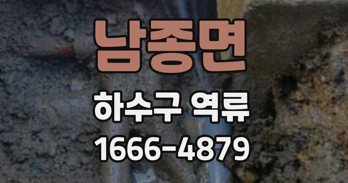 남종면 하수구 역류
