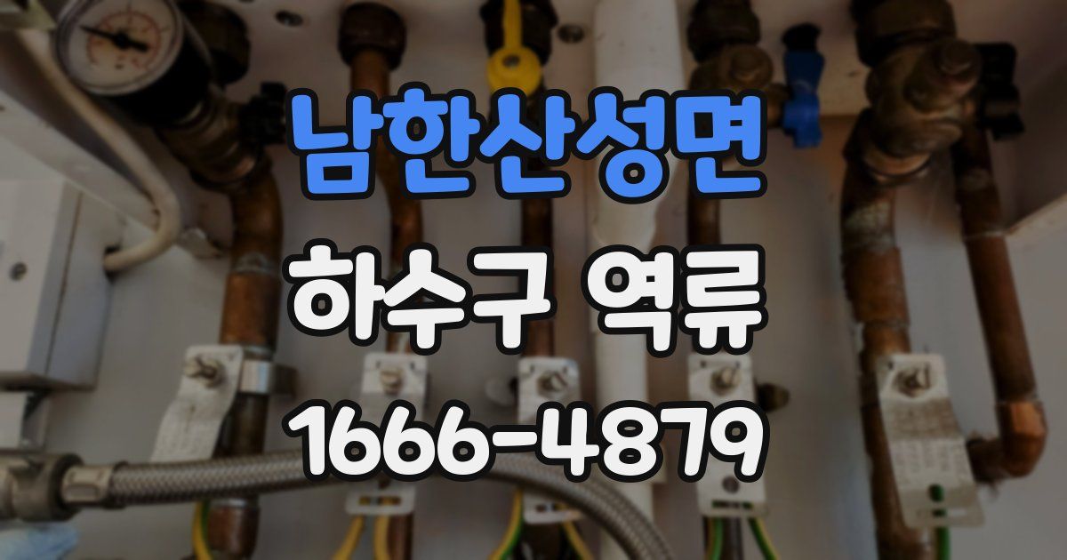남한산성면 하수구 역류