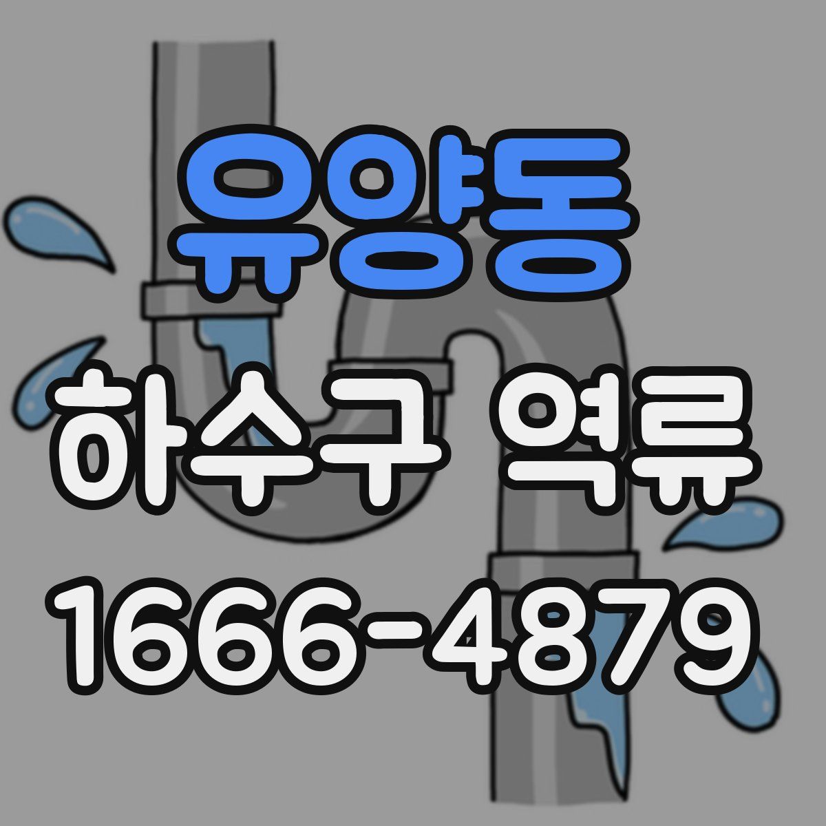 유양동 하수구 역류