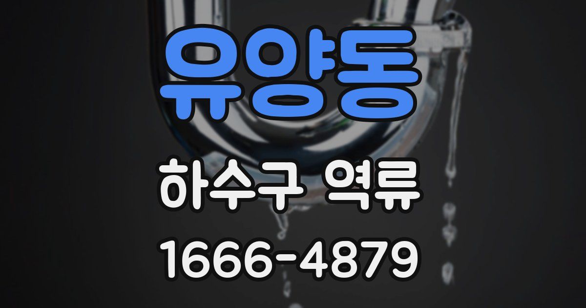 유양동 하수구 역류