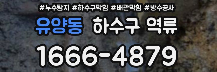 유양동 하수구 역류
