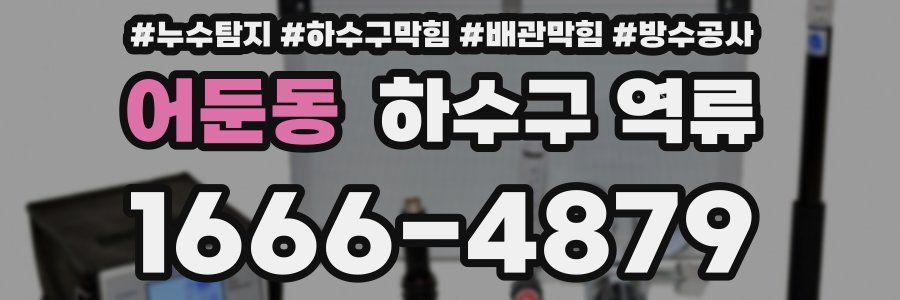 어둔동 하수구 역류