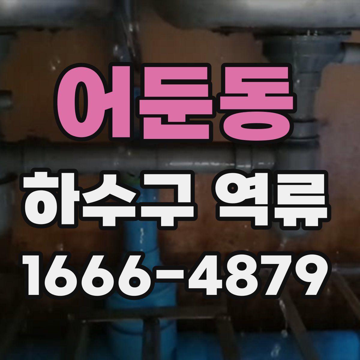 어둔동 하수구 역류