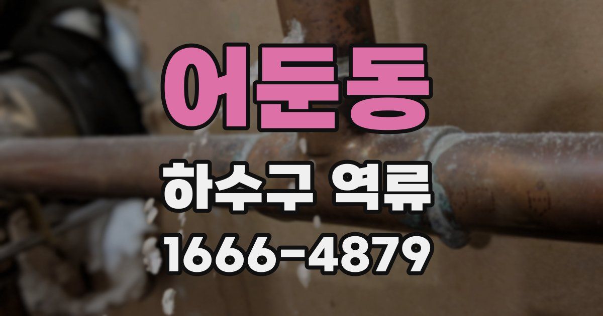 어둔동 하수구 역류