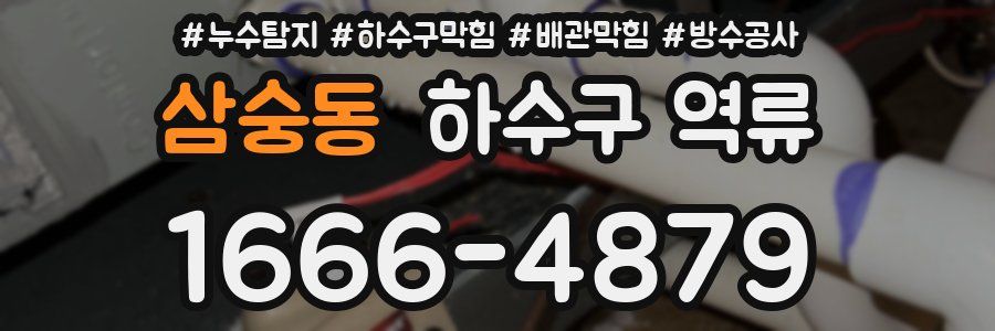 삼숭동 하수구 역류