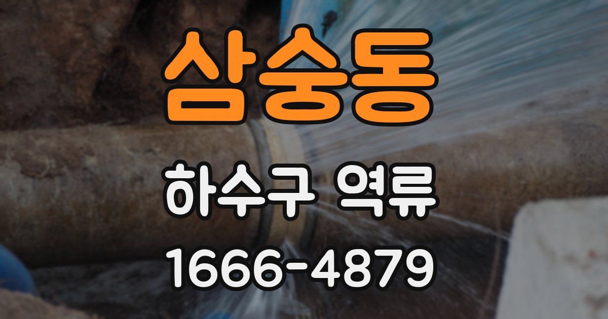 삼숭동 하수구 역류