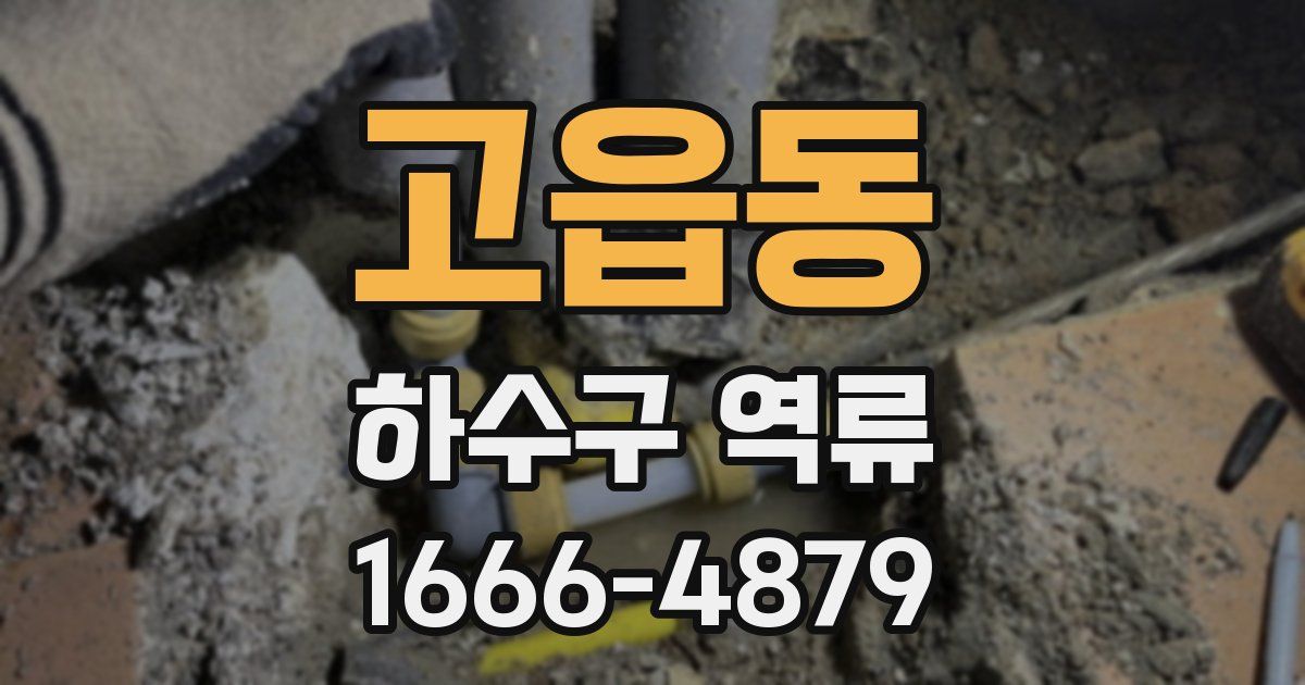 고읍동 하수구 역류