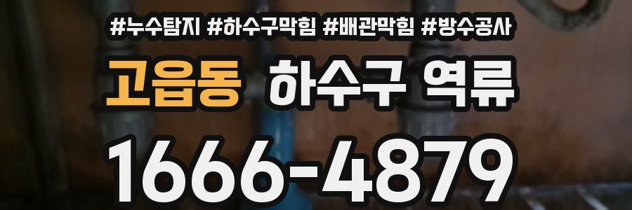 고읍동 하수구 역류