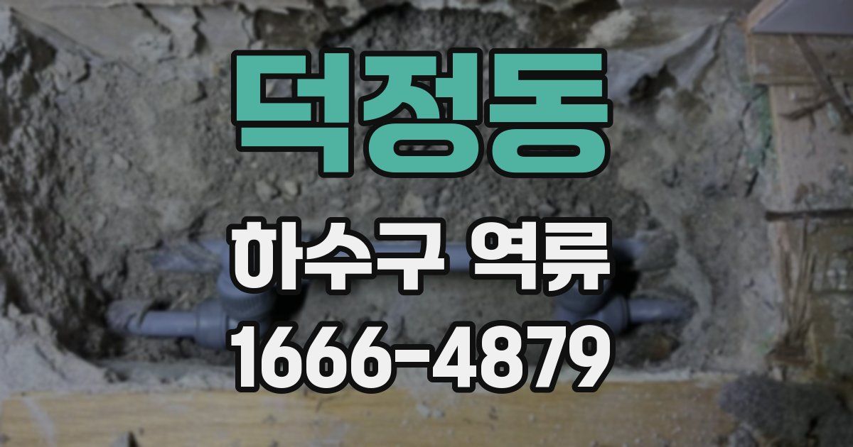 덕정동 하수구 역류