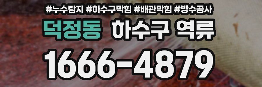 덕정동 하수구 역류