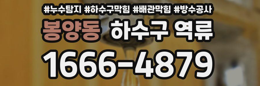 봉양동 하수구 역류