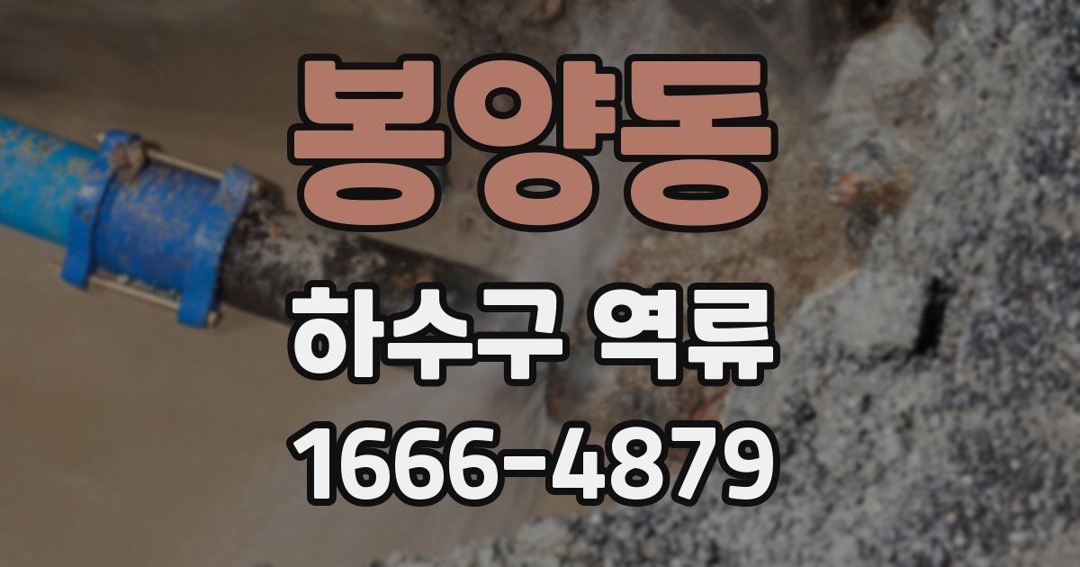 봉양동 하수구 역류