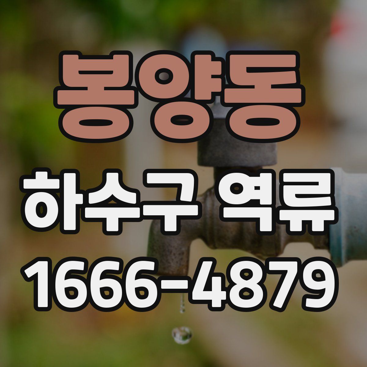 봉양동 하수구 역류