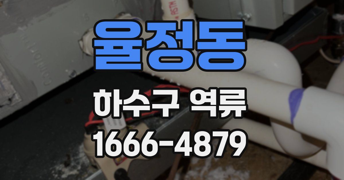 율정동 하수구 역류