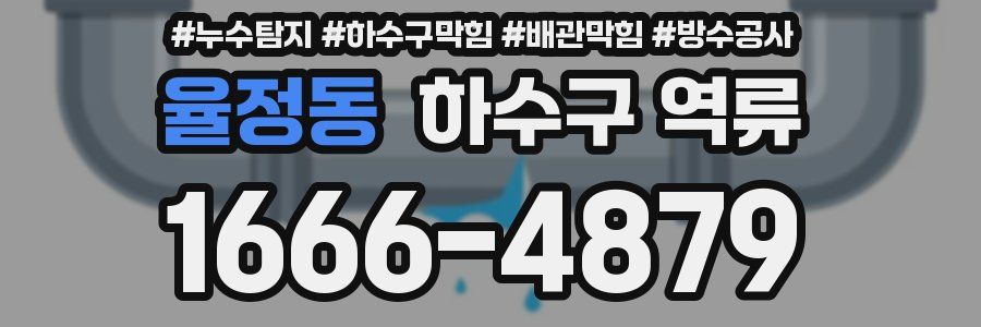 율정동 하수구 역류