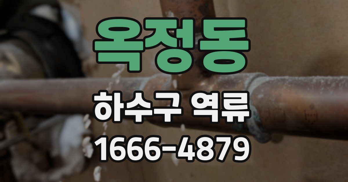 옥정동 하수구 역류